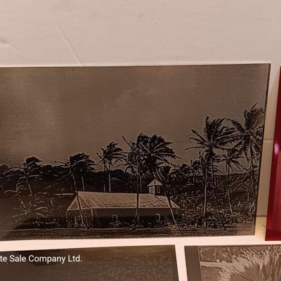 Colored tin / metal laser art - polar bears - lion - Island cabana