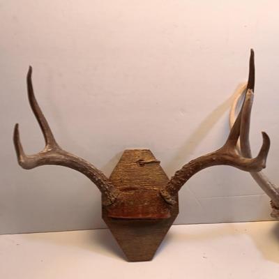 Two sets of antlers