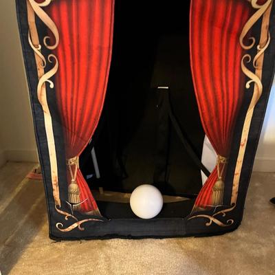 Fortune Teller Costume & Renaissance Fair Costumes (BD1-MG)