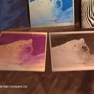 Metal / tin laser art Polar bears - zebra - island cabana - and squirrel
