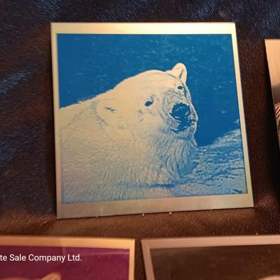 Metal / tin laser art Polar bears - zebra - island cabana - and squirrel