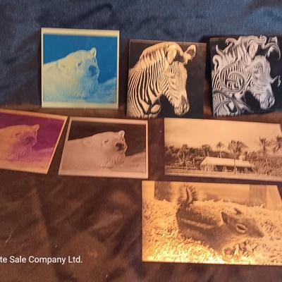 Metal / tin laser art Polar bears - zebra - island cabana - and squirrel