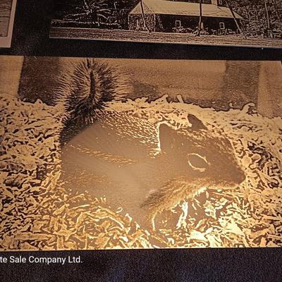 Metal / tin laser art Polar bears - zebra - island cabana - and squirrel