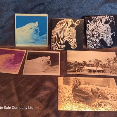 Metal / tin laser art Polar bears - zebra - island cabana - and squirrel