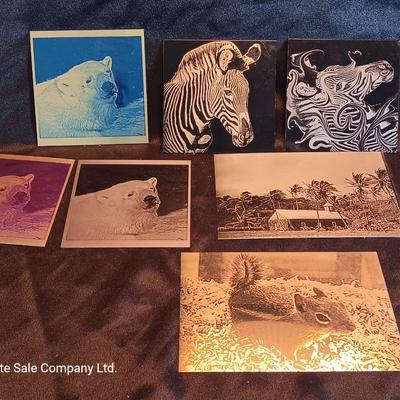 Metal / tin laser art Polar bears - zebra - island cabana - and squirrel