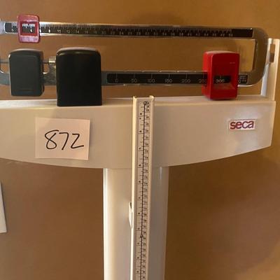Seca Scales