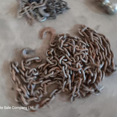 Assortment of chains with a load binder