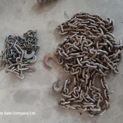 Assortment of chains with a load binder