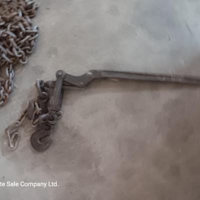 Assortment of chains with a load binder