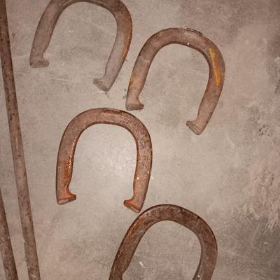 Game of horseshoes anyone?