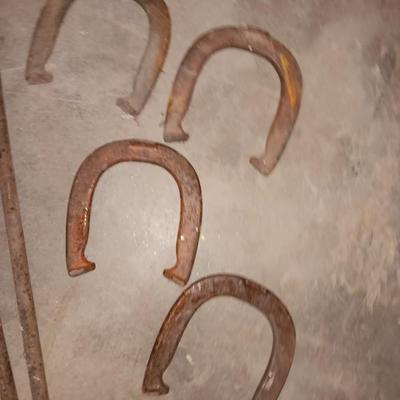 Game of horseshoes anyone?
