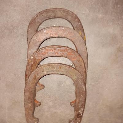 Game of horseshoes anyone?
