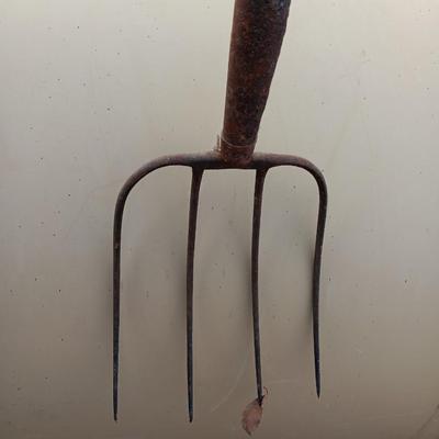 Two vintage pitchforks