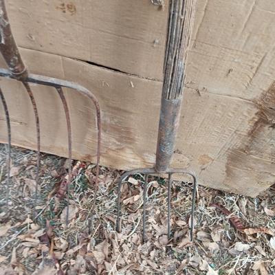 Two vintage pitchforks