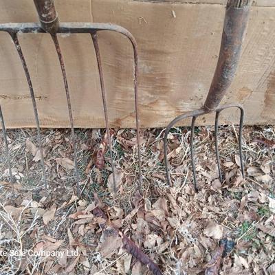 Two vintage pitchforks