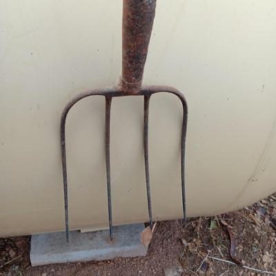 Two vintage pitchforks