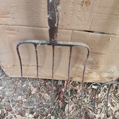 Two vintage pitchforks