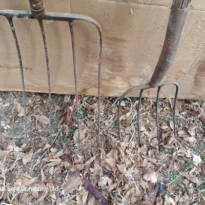 Two vintage pitchforks