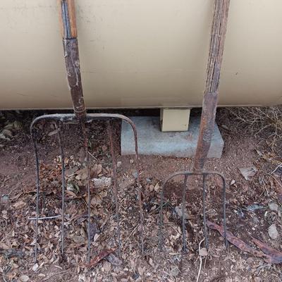Two vintage pitchforks