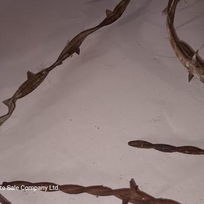 Several strands of antique barbed wire