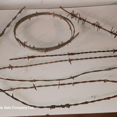 Several strands of antique barbed wire