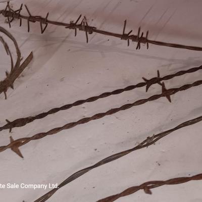 Several strands of antique barbed wire