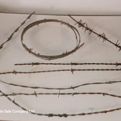 Several strands of antique barbed wire