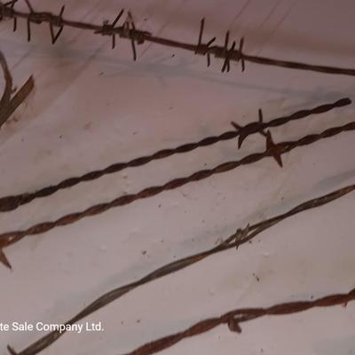 Several strands of antique barbed wire