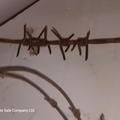 Several strands of antique barbed wire