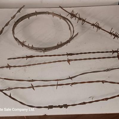 Several strands of antique barbed wire