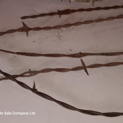 Several strands of antique barbed wire