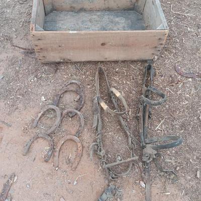 Wooden crate box with horseshoes and vintage horse tack