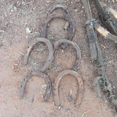 Wooden crate box with horseshoes and vintage horse tack