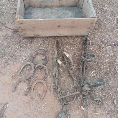 Wooden crate box with horseshoes and vintage horse tack