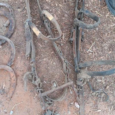 Wooden crate box with horseshoes and vintage horse tack