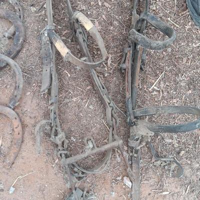 Wooden crate box with horseshoes and vintage horse tack