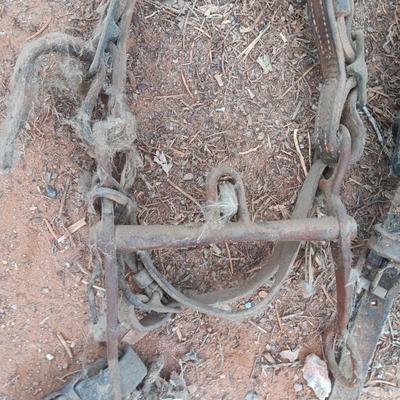 Wooden crate box with horseshoes and vintage horse tack