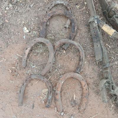 Wooden crate box with horseshoes and vintage horse tack