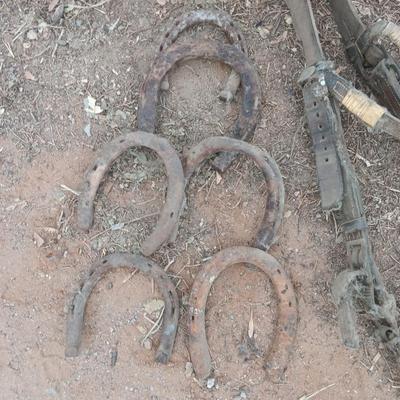 Wooden crate box with horseshoes and vintage horse tack