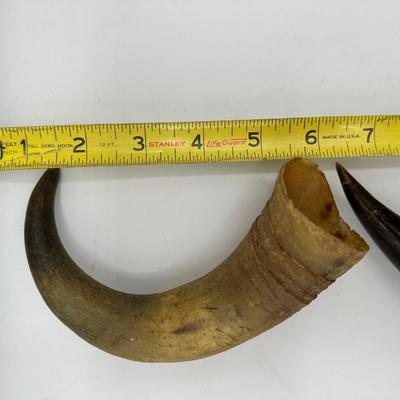 Five Powder & Cup Horns (5)
