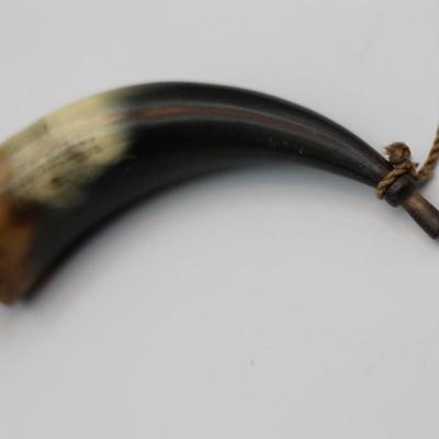 Five Powder & Cup Horns (5)