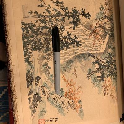 1800s Japanese Wood Block Art Folio - Over 50 Prints