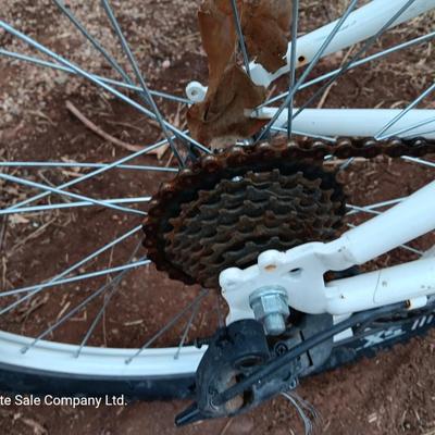 Girl's Trek Mountain Bike MT200