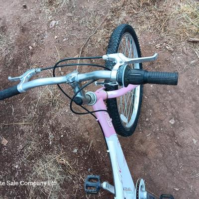 Girl's Trek Mountain Bike MT200