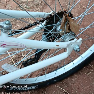 Girl's Trek Mountain Bike MT200