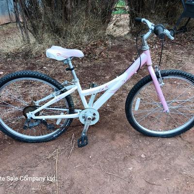Girl's Trek Mountain Bike MT200