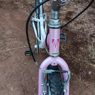 Girl's Trek Mountain Bike MT200