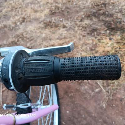 Girl's Trek Mountain Bike MT200