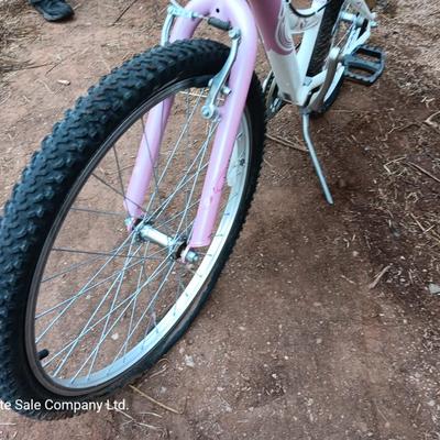 Girl's Trek Mountain Bike MT200