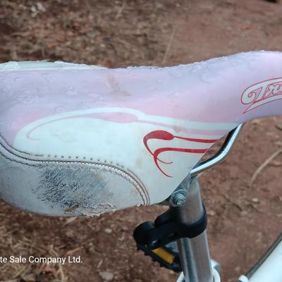 Girl's Trek Mountain Bike MT200